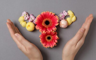 🌺 Mit Ayurveda gesund durch die Wechseljahre