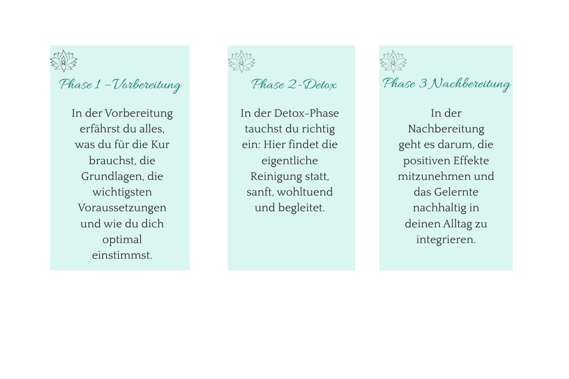Detox 3 Phasen Detox 3 Phasen 1